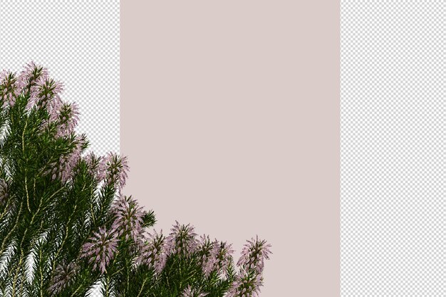Tree in 3d rendering isolated