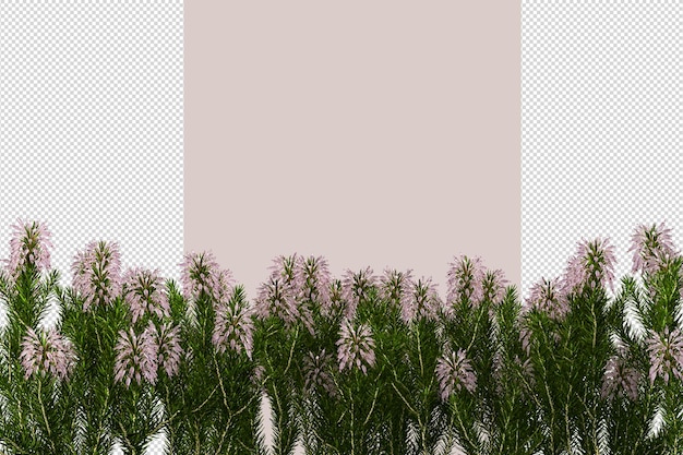 Tree in 3d rendering isolated