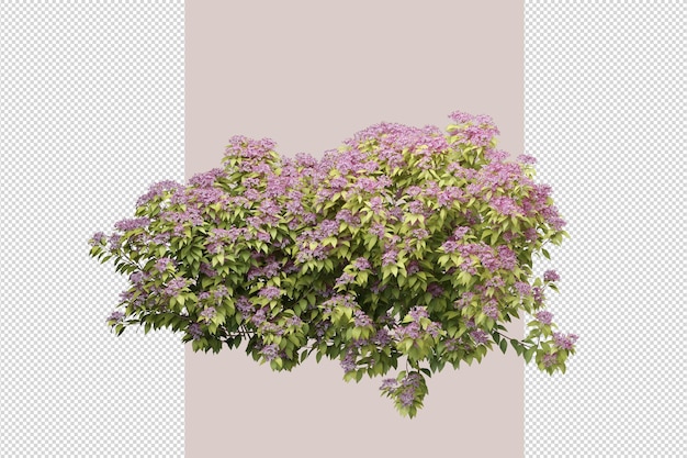 tree in 3d rendering isolated