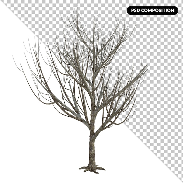 PSD tree isolated 3d