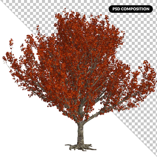 PSD tree isolated 3d