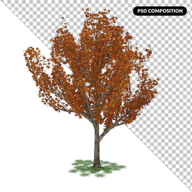 PSD tree isolated 3d