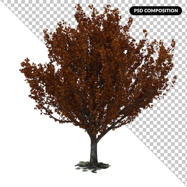 PSD tree isolated 3d