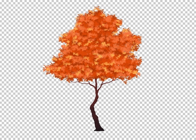 PSD tree isolated transparency background