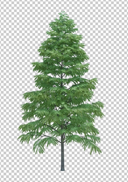 Albero isolato