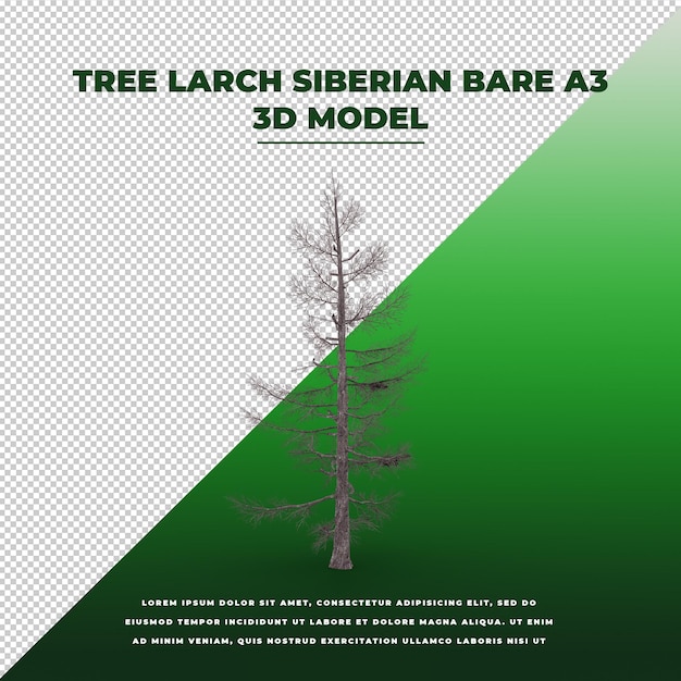 Modello isolato 3d nudo siberiano di larice dell'albero