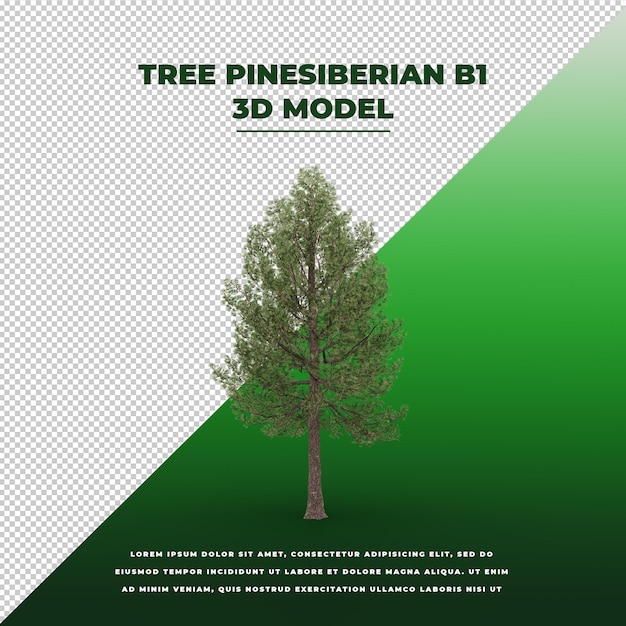 Modello isolato 3d siberiano del pino dell'albero