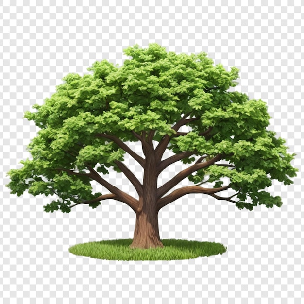 PSD tree png isolated on transparent background