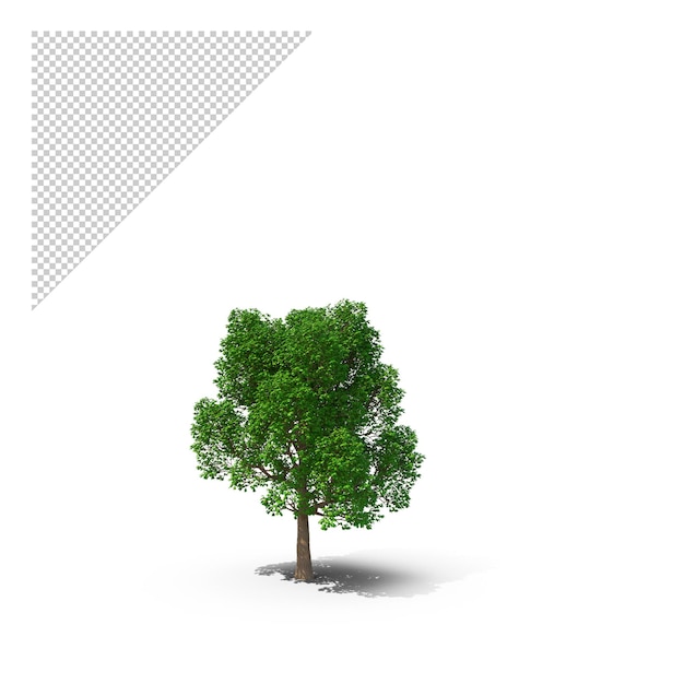 PSD tree png