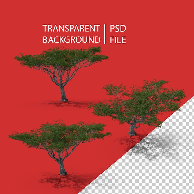 PSD tree png