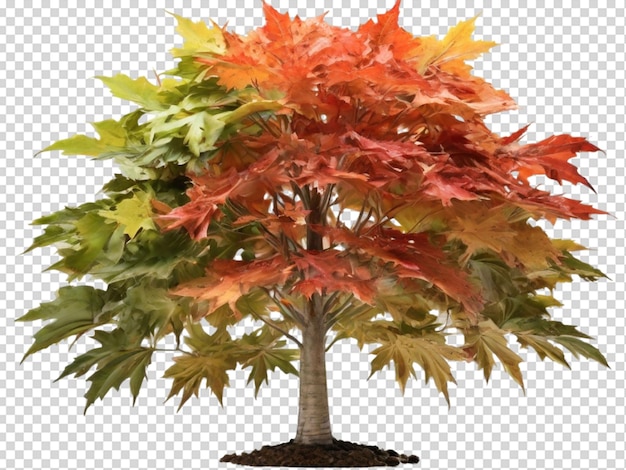 PSD tree png