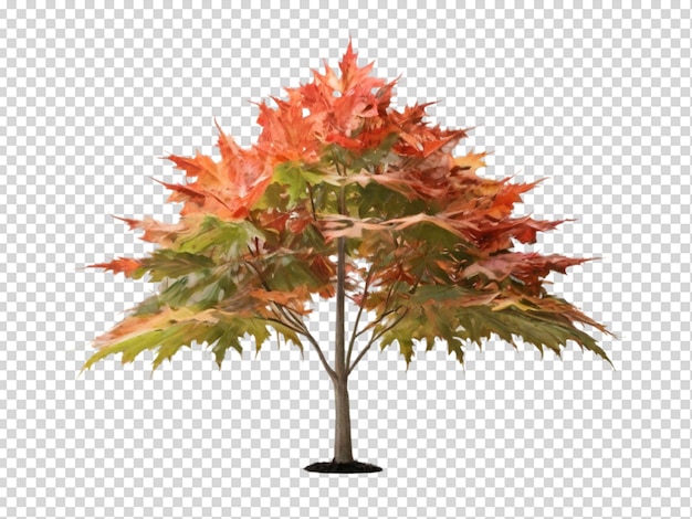 PSD albero png