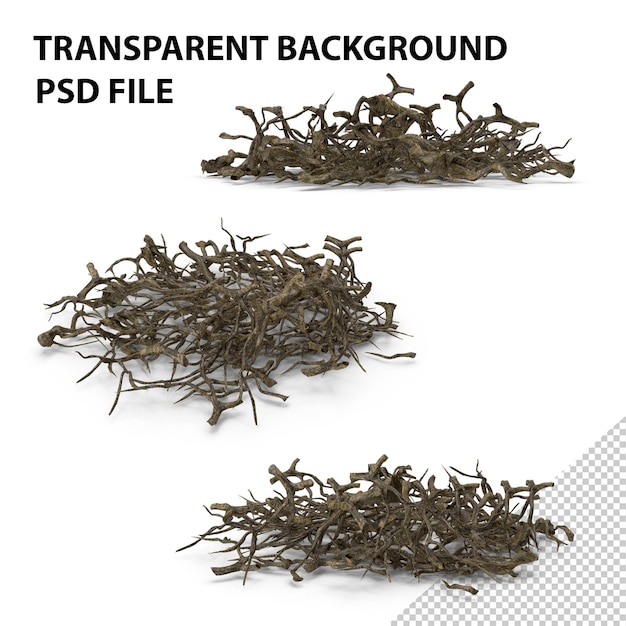 Tree Roots PNG