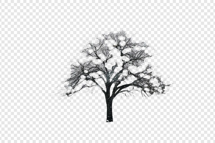 PSD tree in snow isolated on transparent background