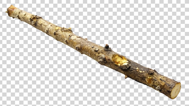 Tree stick isolated on transparent background