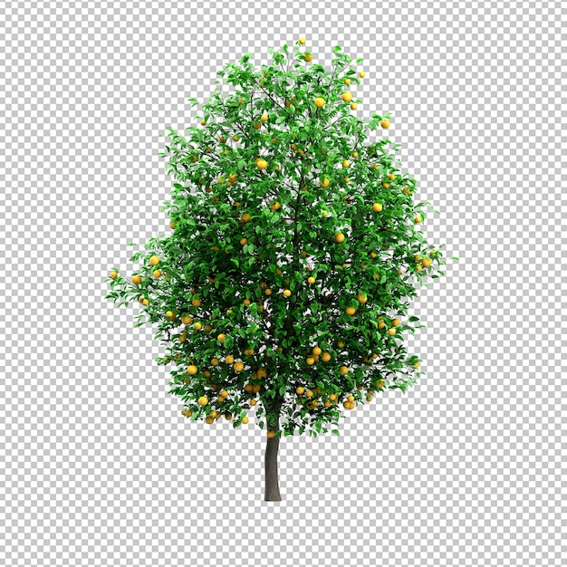 PSD tree on transparent background psd design