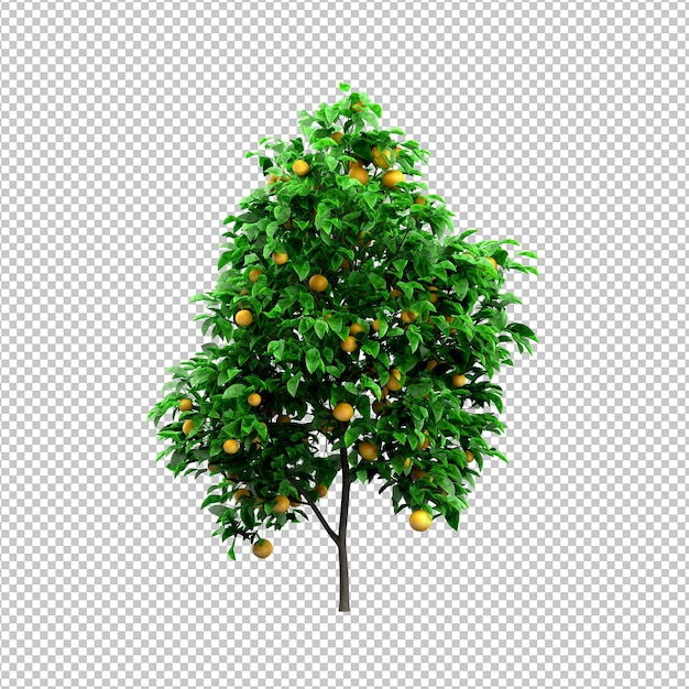 PSD tree on transparent background psd design