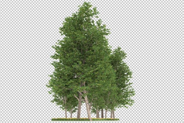 PSD tree on transparent background psd design