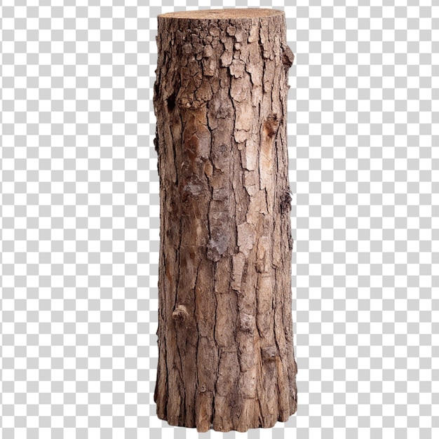 Tree trunk isolated on transparent background