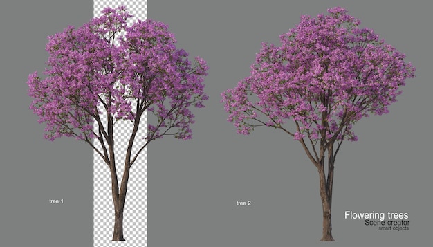 PSD un albero con fiori di vari colori.