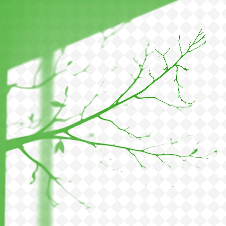 PSD a tree with a green background and a white background with a green background
