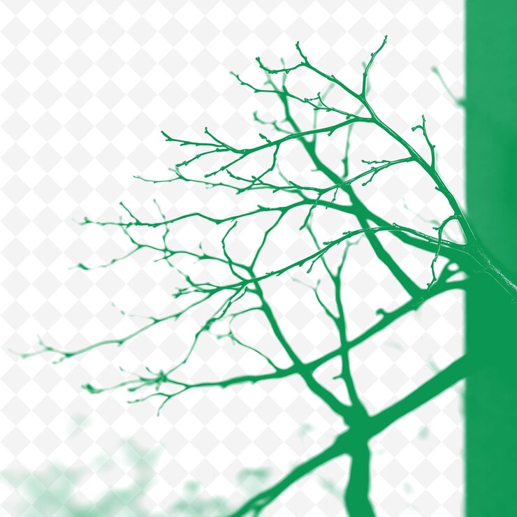 PSD a tree with a green background with a green background with a green background