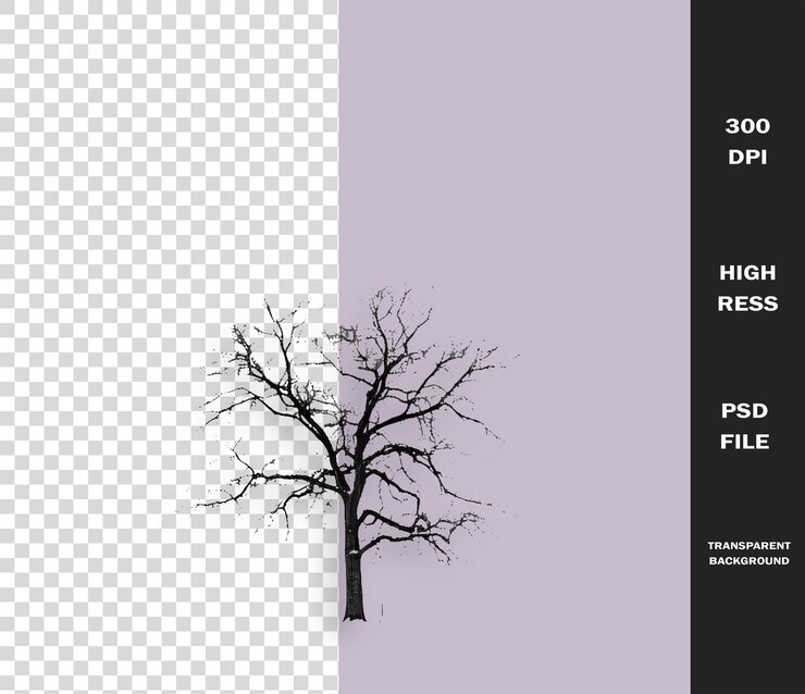 PSD a tree with no leaves on it