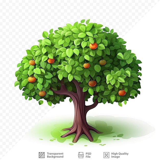 A tree with oranges and green leaves on it