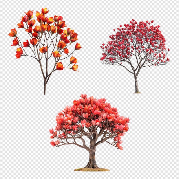 A tree with red leaves and a tree with a red heart on it