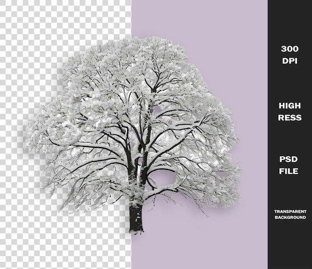 a tree with a white background and the words quot 50 off quot on it