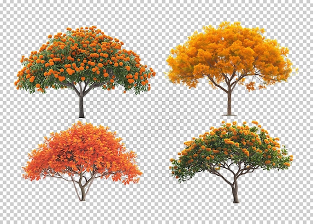 PSD trees isolated transparency background