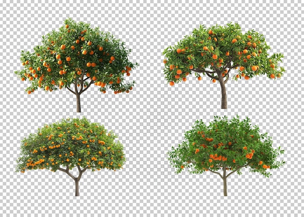 PSD trees isolated transparency background