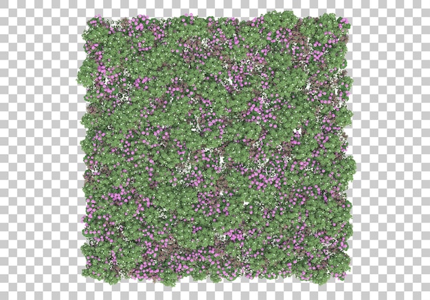 Trees with flowers on transparent background 3d rendering illustration