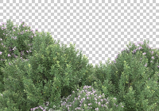 Alberi con fiori su sfondo trasparente 3d rendering illustrazione