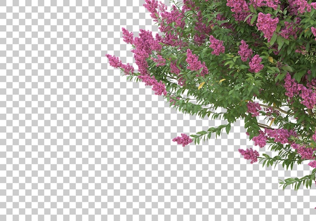 투명 한 배경 3d 렌더링 그림에 꽃과 나무