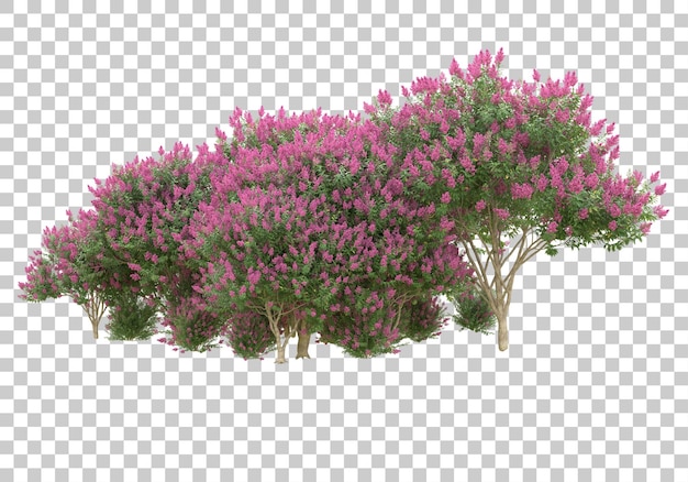 Alberi con fiori su sfondo trasparente 3d rendering illustrazione