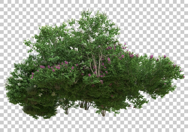 Alberi con fiori su sfondo trasparente 3d rendering illustrazione