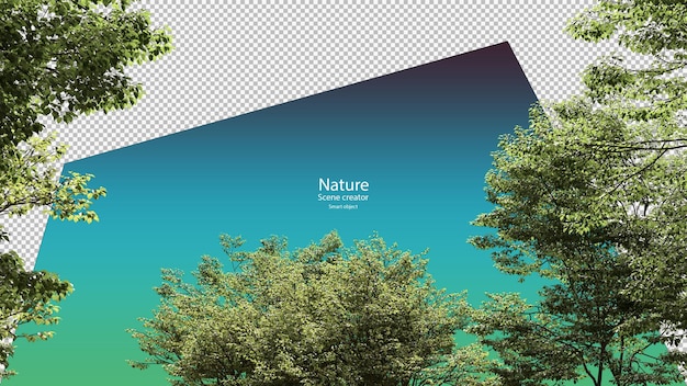 Treetop oppslagsvisning 3d gjengivelse isolert utklippsvei