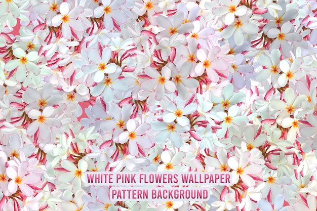 PSD trendy white pink floral wallpaper pattern background