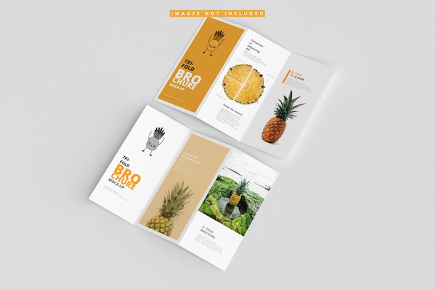 PSD mockup brochure ripiegabili