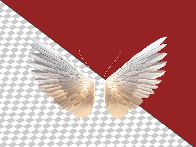 PSD trójwymiarowe białe skrzydła angielskie na białym tle