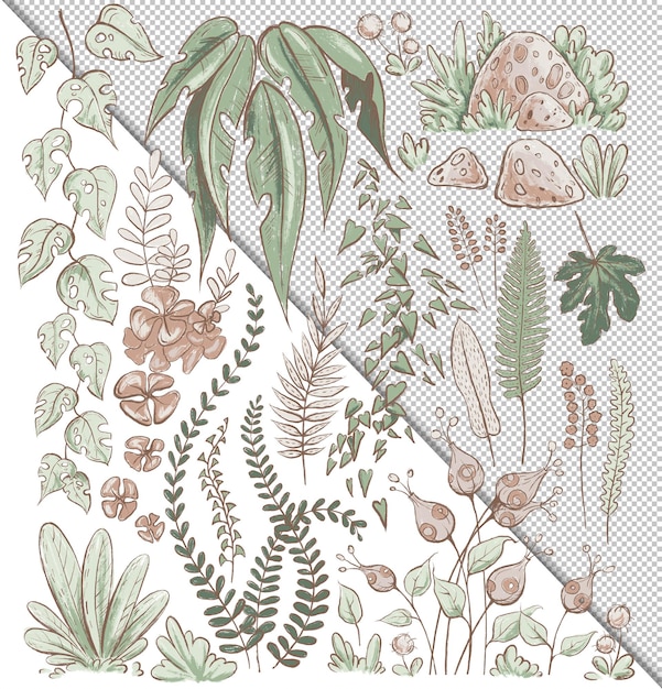 PSD tropic leaves and flowers illustration