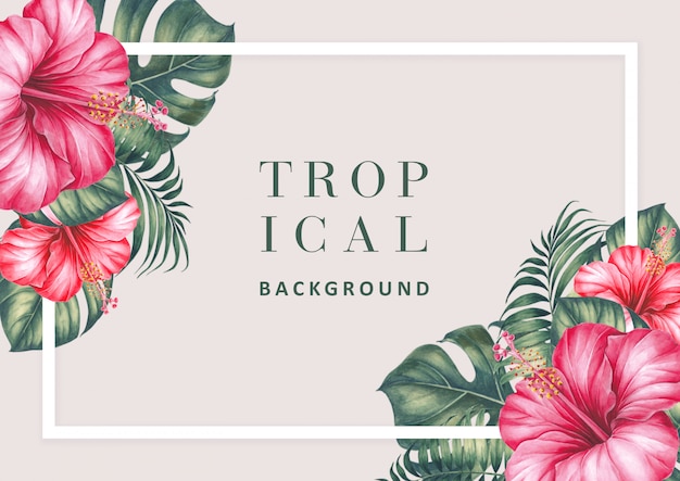 Tropical background with hibiscus and palm.