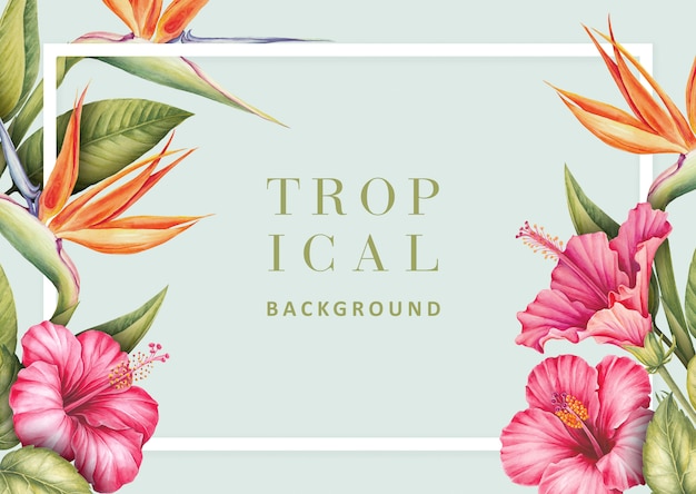 PSD tropical background with hibiscus and strelitzia