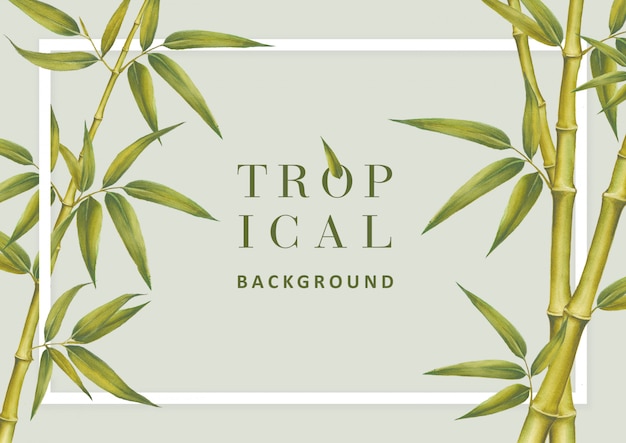 PSD tropical background