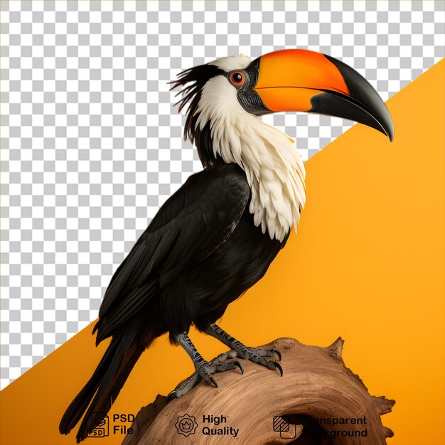PSD concetto di uccelli tropicali isolati su uno sfondo trasparente includono file png