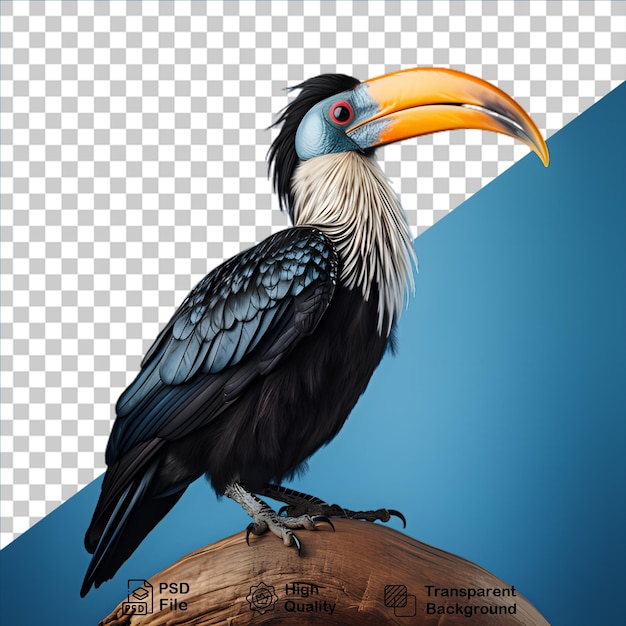 PSD tropical birds concept isolated on transparent background include png file