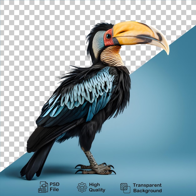 Tropical birds concept isolated on transparent background include png file