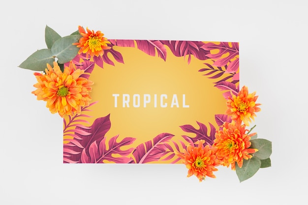 PSD mockup di copertura tropicale