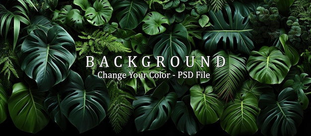 PSD tropical foliage background monstera philodendron fern and other exotic plants